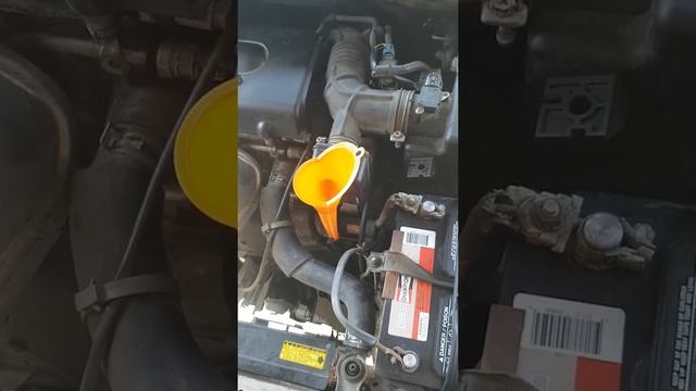 08 scion tc transmission service