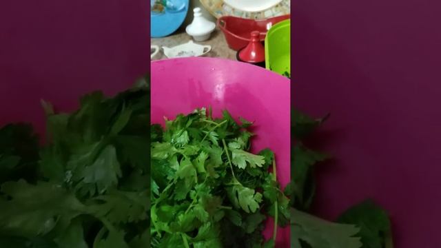 Кулинарные хитрости. Хранение зелени. Израиль. смотреть онлайн