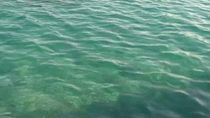 Jaz Makadina 5, Club Makadi, Аквапарк Makadi Water World. Отдых в Египте в Хургаде. Pegas touristik