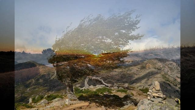 Красивое стихотворение - Ветер смотреть онлайн