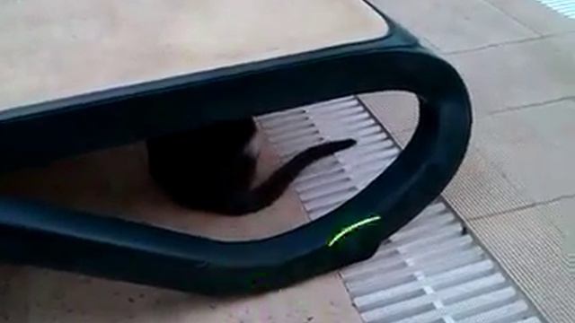 Gardenia Beach- Turecko 2014 смотреть онлайн