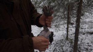 Две недели в лесу. Жизнь в Тайге. Заключительная Серия