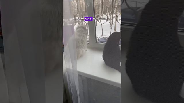 Ремонтная бригада усатых смотреть онлайн