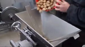 ОРЕХОКОЛ ЭЛЕКТРИЧЕСКИЙ ВАЛЬЦОВЫЙ ДЛЯ ГРЕЦКОГО ОРЕХА И ФУНДУКА BLSTAN