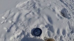 Зимняя рыбалка/ Жерлицы/ Покатушки на мотособаке.