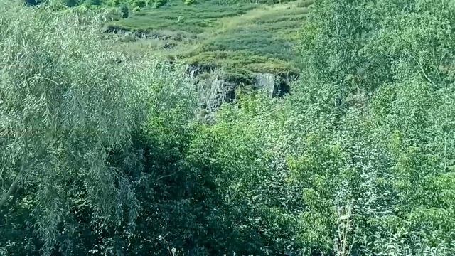 Приезжайте ждём Вас! в миньяре,
