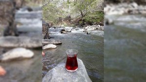 Аюб Вахарагов - Индийский Чай☕