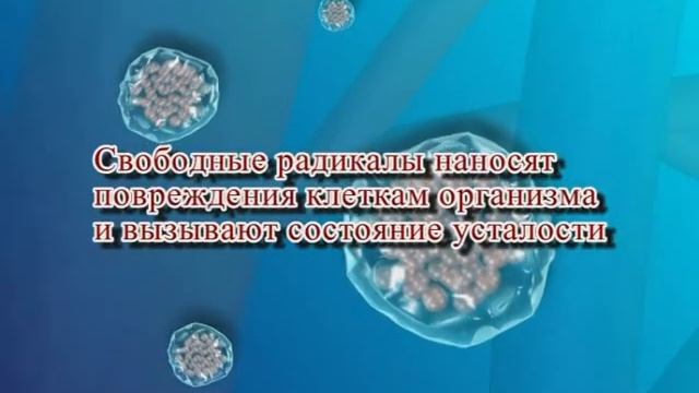 Зеленый чай Хуа Шэн с селеном смотреть онлайн