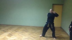 Hapkido forma