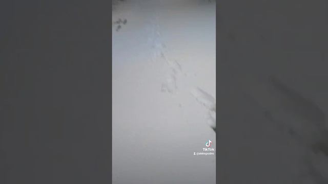 #друг #рекомендации #shortvideo #словопацана #беларусь #гродно #топ #рыбалка