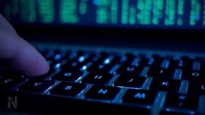 ДЕЛЬФИН. ИДУ ИСКАТЬ.