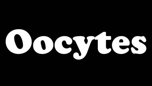 How many eggs will a chicken lay in its life time? When do hens stop laying? смотреть онлайн