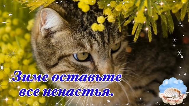 Прощай Зима, Здравствуй Весна! Музыка Сергей Чекалин! Поздравление С Первым Днём Вёсны! 1 Марта