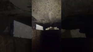 Замена масла в двигателе тойота ипсум