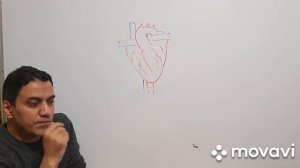 Работа внутренних органов: 3 правила. Лекция Эльхенди Тауфика Набильевича.
