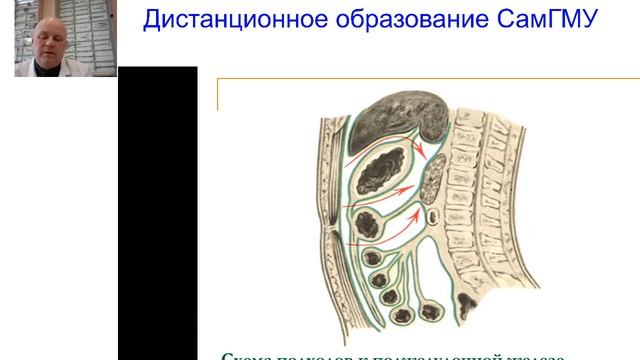 Вебинар "Хирургическая анатомия поджелудочной железы"