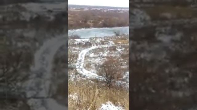 За шиповником в декабре смотреть онлайн