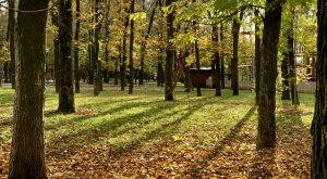 Солнечный день. Парк "Швейцария". Установили аппарат пр приёму вторсырья. Н.Новгород.