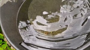 Насос для золота!