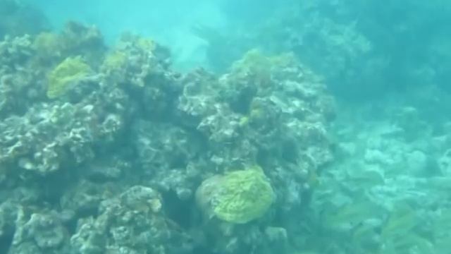 Southern Abacos Bahamas adventure travel video смотреть онлайн