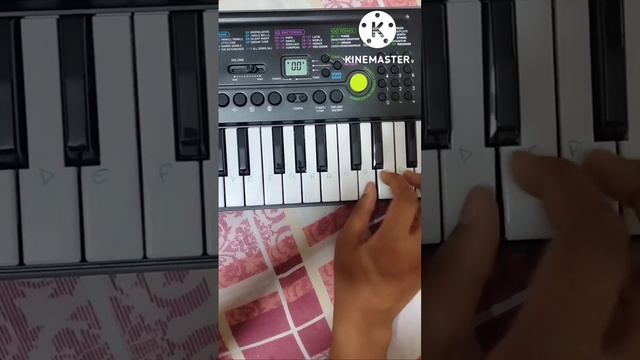 kesariya song on casio sa-47 piano |Creation YT