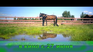 ≪Мой любимый чемпион≫ - в кино с 27 июня 2024 г. (рус. трейлер)