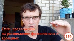 [156] Спец условия на клонирование орхидей и ароидных. Чем микроклоналка отличается от черенкования