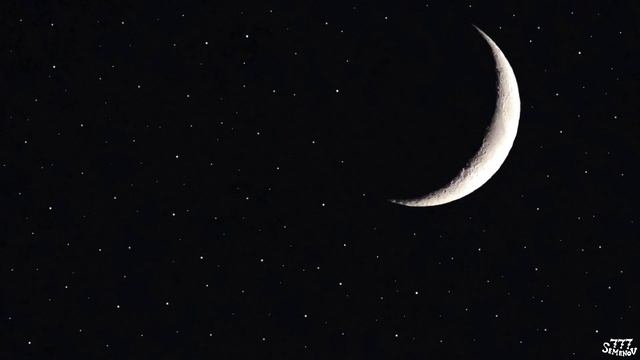 Ночные звуки сверчков для расслабления и сна | Звуки природы | Звуки для сна | Cricket sounds