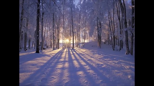 Harvest Moon - Back to Nature: Winter, Extended
