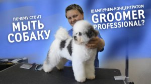 Почему стоит мыть собаку шампунем-концентратом GROOMER professional? Показывает грумер Ирина Думчева