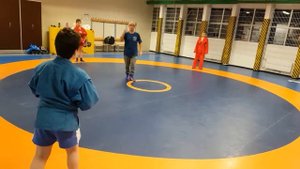 проход в ноги, самбо