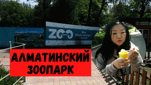 Поход в Алматинский зоопарк и где вкусно поесть в городе. Про самый вкусный шашлык в Алматы.