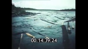 1987г  село Варзуга, Умба, Мурманская область  Архангельский водорослевый комбинат