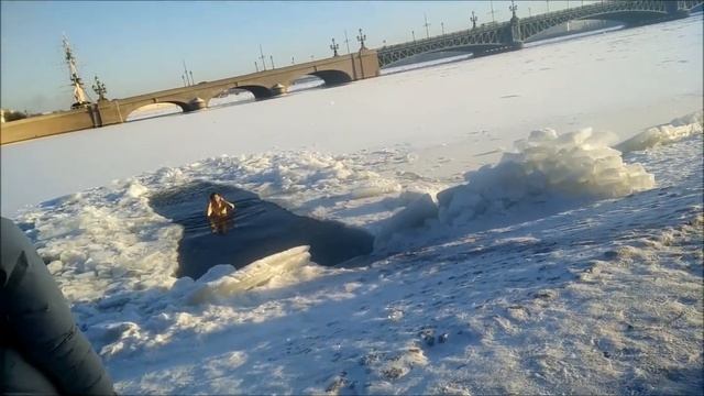 моржи смотреть онлайн