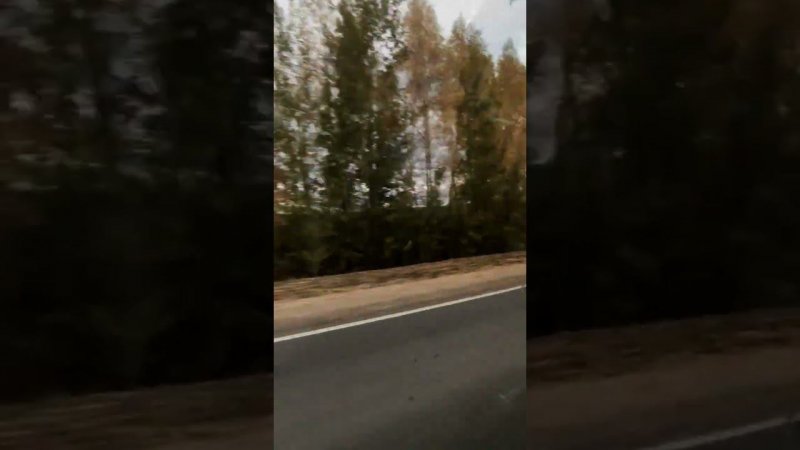 Осень по своему хороша!