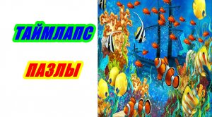 Пазлы Подводный Мир 500 деталей. Таймлапс сборка.
