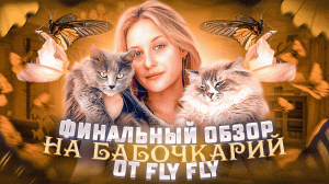 Тропическая бабочка из бабочкария от Fly-fly, финальный выпуск