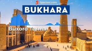 BUXOROCHA TO'Y BOP // BUXOROCHA SHO'X QO'SHIQLAR // BUXOROCHA QO'SHIQLAR //
