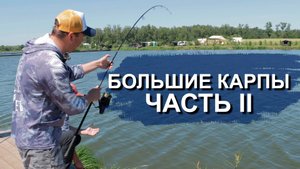 КАК ПОЙМАТЬ КРУПНЕНЬКУЮ? ТОНУЩИЙ или ПЛАВАЮЩИЙ? Стратегия ловли карпа. (Большие карпы часть 2)