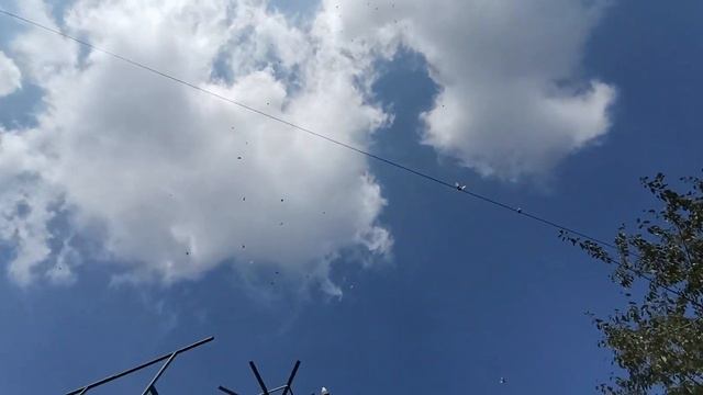 Полёт бакинских голубей Михаила, Москва. смотреть онлайн