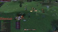 Lineage II Elmorelab C2 Raid Boss