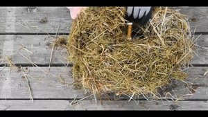 Основа для венка своими руками. Три варианта основ из травы или сена.