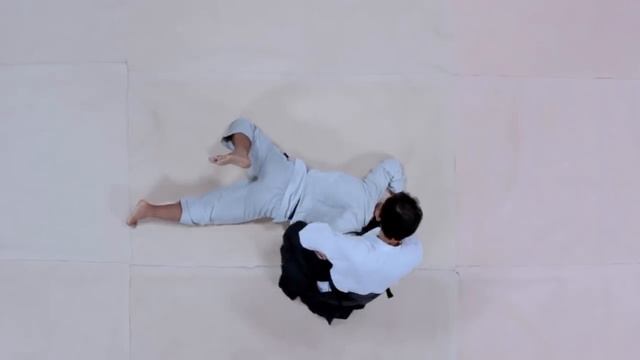 Suisen-kan Aikido смотреть онлайн