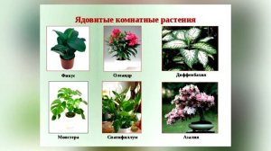 Профилактика травматизма у детей