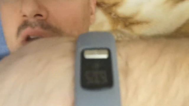 10 тысяч шагов в день.22.11.19 диванные отчет смотреть онлайн