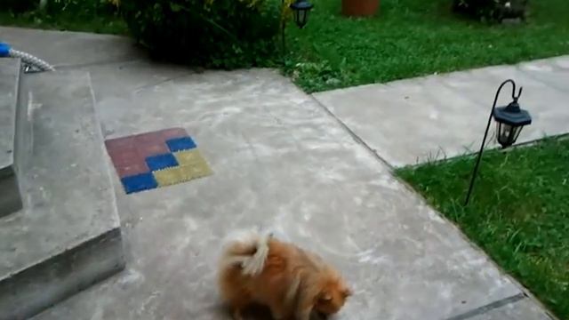 Посёлок Покровка смотреть онлайн