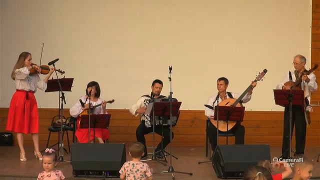 Ансамбль народних інструментів Дивограй.