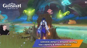 Геншин Импакт ➤ Все Мушки Хварны ➤ Как собрать и принести всех ➤ Прохождение игры Genshin Impact
