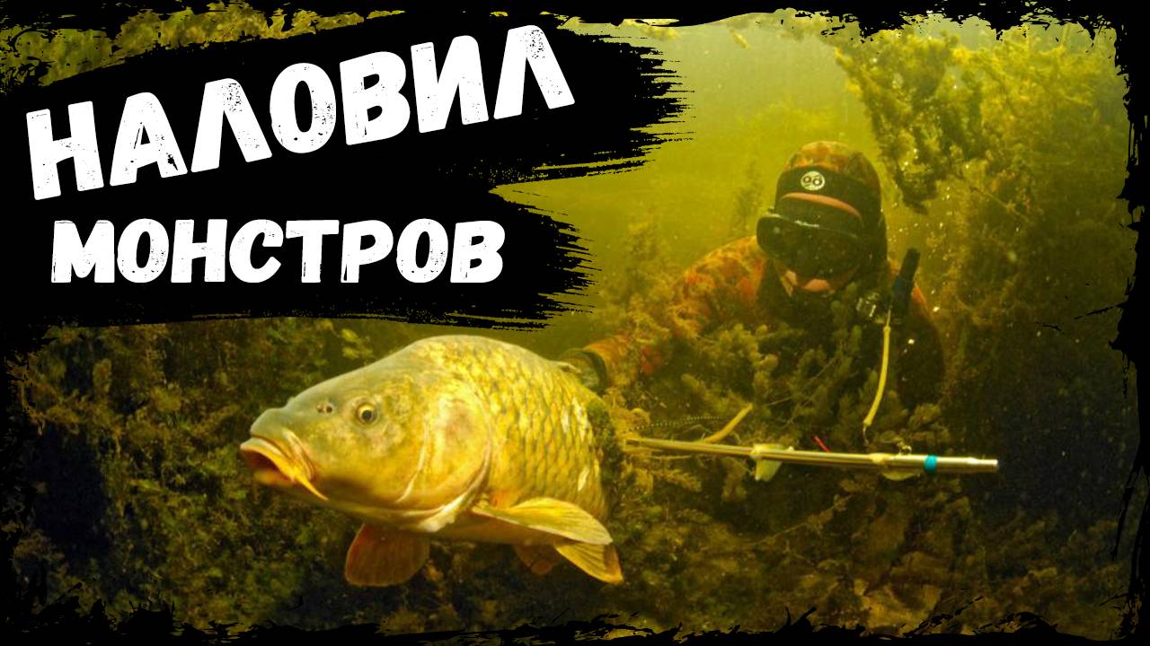 Настрелял МОНСТРОВ, ТАКОГО Я НЕ ОЖИДАЛ!!!!