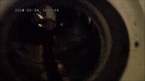 Диагностика подшипников стиральной машины.